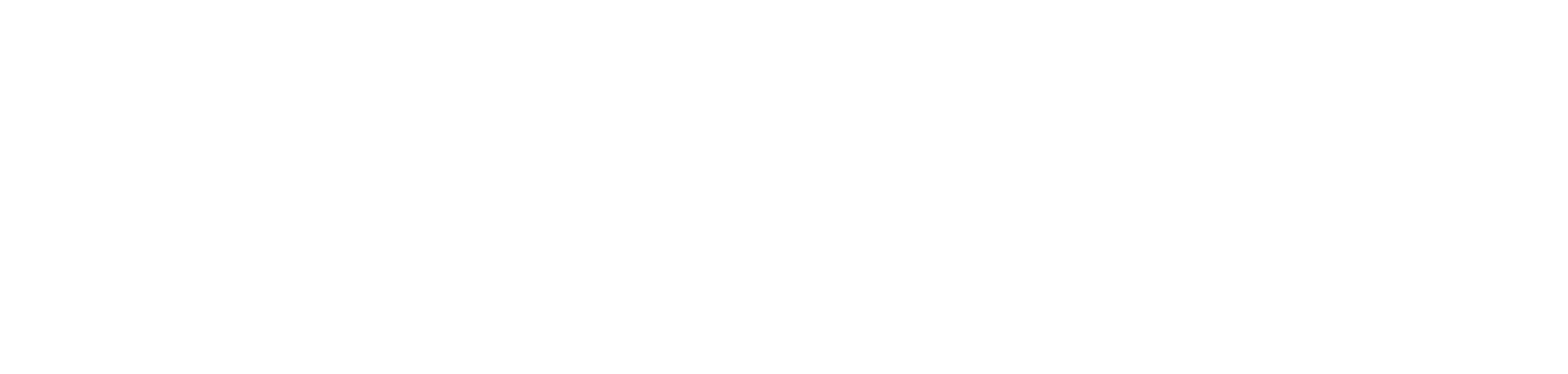 Les Mills DANCE™